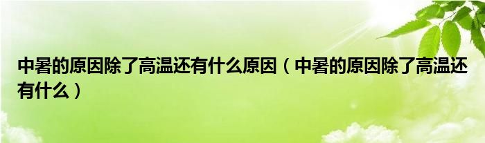 中暑的原因除了高温还有什么原因（中暑的原因除了高温还有什么）