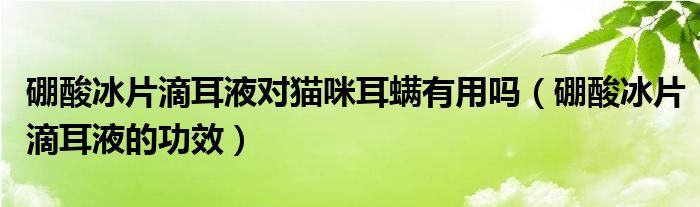 硼酸冰片滴耳液对猫咪耳螨有用吗（硼酸冰片滴耳液的功效）
