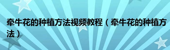 牵牛花的种植方法视频教程（牵牛花的种植方法）
