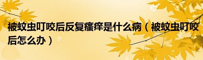 被蚊虫叮咬后反复瘙痒是什么病（被蚊虫叮咬后怎么办）