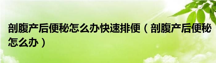 剖腹产后便秘怎么办快速排便（剖腹产后便秘怎么办）