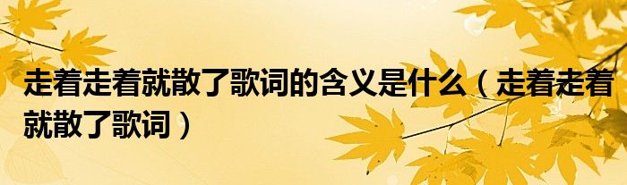 走着走着就散了歌词的含义是什么（走着走着就散了歌词）