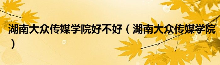 湖南大众传媒学院好不好（湖南大众传媒学院）