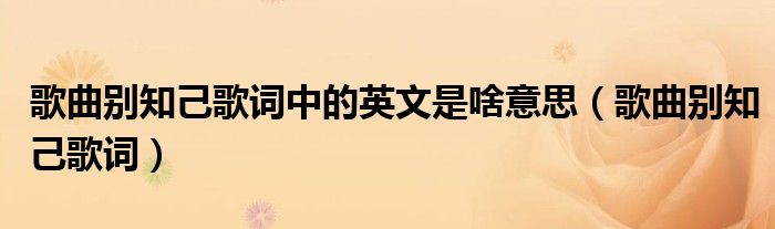 歌曲别知己歌词中的英文是啥意思(歌曲别知己歌词)