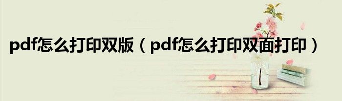 pdf怎么打印双版（pdf怎么打印双面打印）