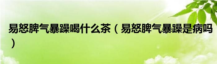 易怒脾气暴躁喝什么茶（易怒脾气暴躁是病吗）