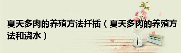夏天多肉的养殖方法扦插（夏天多肉的养殖方法和浇水）