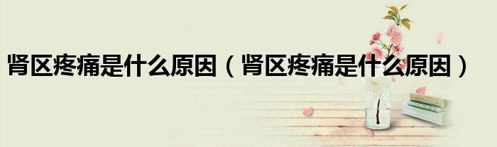 肾区疼痛是什么原因（肾区疼痛是什么原因）