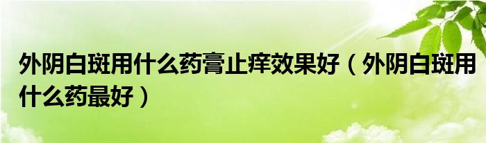 外阴白斑用什么药膏止痒效果好（外阴白斑用什么药最好）