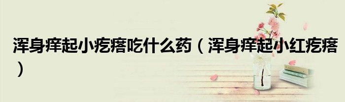 浑身痒起小疙瘩吃什么药（浑身痒起小红疙瘩）