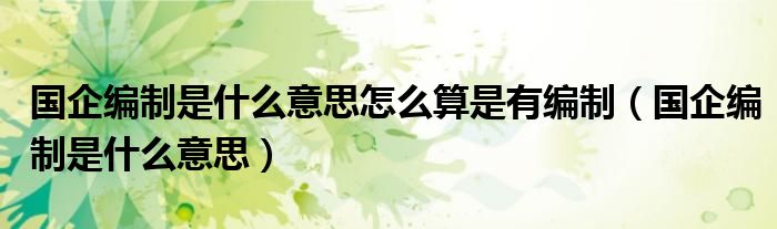 国企编制是什么意思怎么算是有编制（国企编制是什么意思）