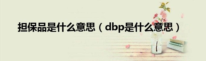 担保品是什么意思（dbp是什么意思）