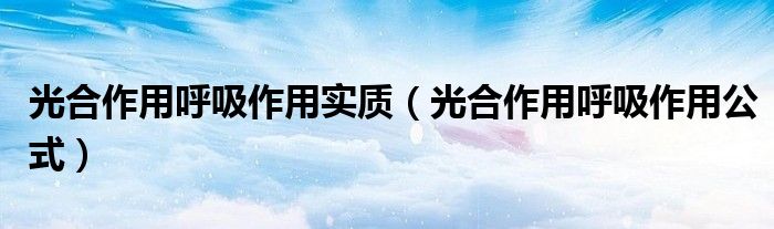 光合作用呼吸作用实质（光合作用呼吸作用公式）