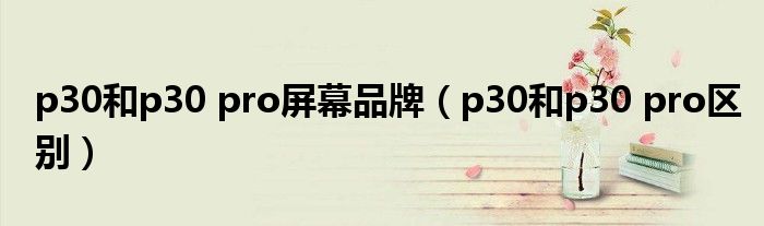 p30和p30 pro屏幕品牌（p30和p30 pro区别）