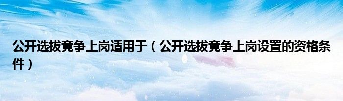 公开选拔竞争上岗适用于（公开选拔竞争上岗设置的资格条件）