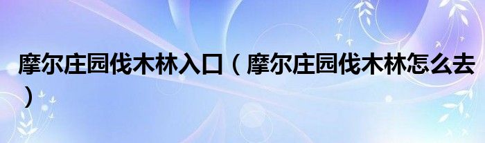 摩尔庄园伐木林入口（摩尔庄园伐木林怎么去）