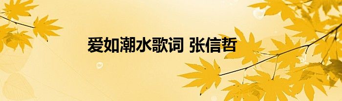 爱如潮水歌词 张信哲