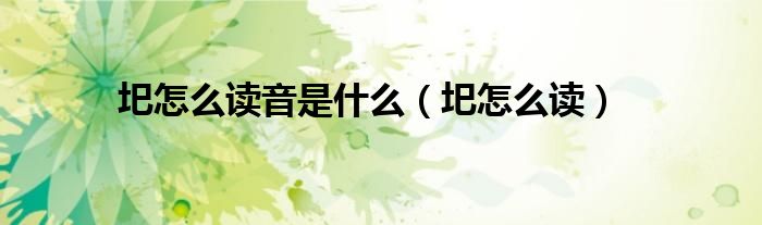 圯怎么读音是什么（圯怎么读）