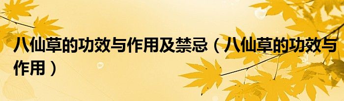 八仙草的功效与作用及禁忌（八仙草的功效与作用）
