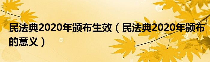 民法典2020年颁布生效（民法典2020年颁布的意义）