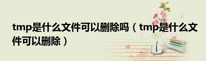tmp是什么文件可以删除吗（tmp是什么文件可以删除）