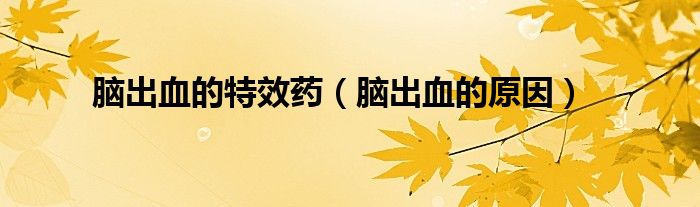 脑出血的特效药（脑出血的原因）