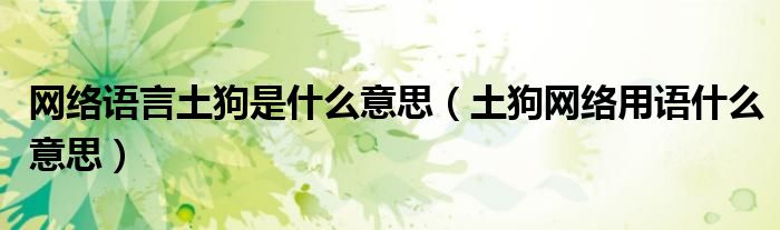 网络语言土狗是什么意思(土狗网络用语什么意思)