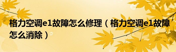 格力空调e1故障怎么修理（格力空调e1故障怎么消除）