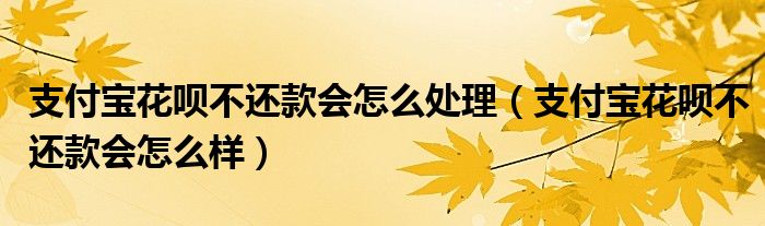 支付宝花呗不还款会怎么处理（支付宝花呗不还款会怎么样）