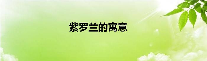 紫罗兰的寓意