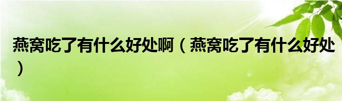 燕窝吃了有什么好处啊（燕窝吃了有什么好处）