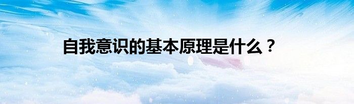 自我意识的基本原理是什么？