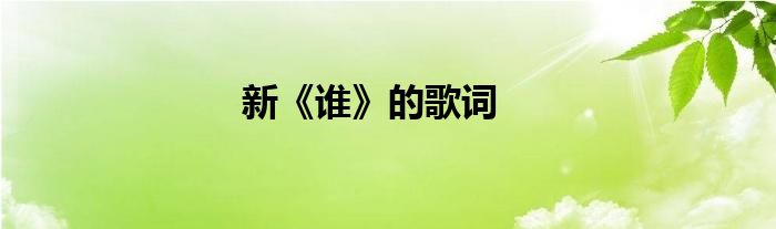 新《谁》的歌词