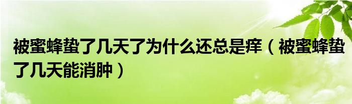 被蜜蜂蛰了几天了为什么还总是痒（被蜜蜂蛰了几天能消肿）