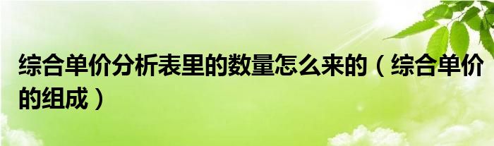 综合单价分析表里的数量怎么来的（综合单价的组成）