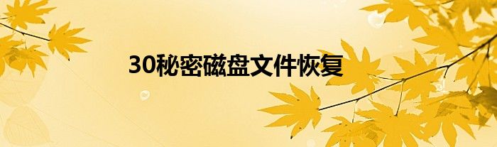 30秘密磁盘文件恢复
