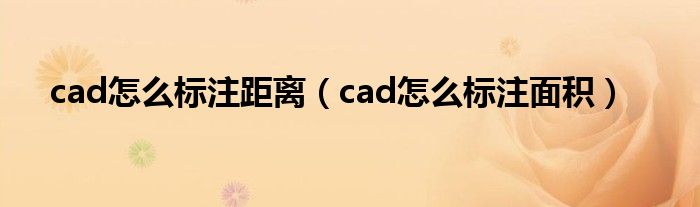 cad怎么标注距离（cad怎么标注面积）