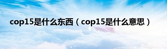 cop15是什么东西（cop15是什么意思）