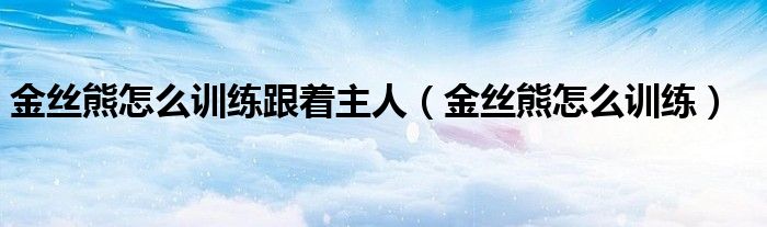 金丝熊怎么训练跟着主人（金丝熊怎么训练）