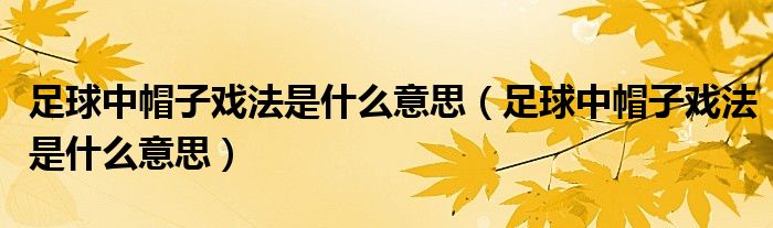 足球中帽子戏法是什么意思（足球中帽子戏法是什么意思）