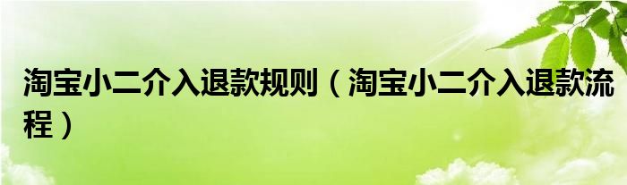 淘宝小二介入退款规则（淘宝小二介入退款流程）