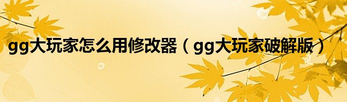 gg大玩家怎么用修改器（gg大玩家破解版）