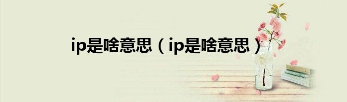 ip是啥意思（ip是啥意思）