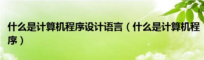 什么是计算机程序设计语言（什么是计算机程序）