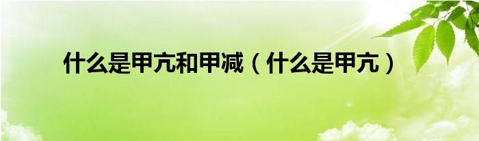 什么是甲亢和甲减(什么是甲亢)