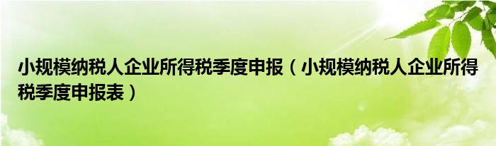 小规模纳税人企业所得税季度申报（小规模纳税人企业所得税季度申报表）