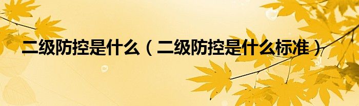 二级防控是什么（二级防控是什么标准）