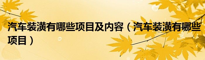 汽车装潢有哪些项目及内容（汽车装潢有哪些项目）