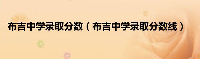布吉中学录取分数（布吉中学录取分数线）