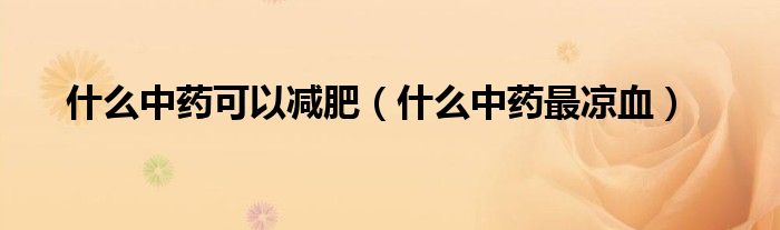 什么中药可以减肥（什么中药最凉血）